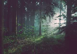 Sunstar Swiss Hotel Collection Nachhaltigkeit 2