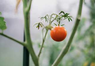 Sunstar Swiss Hotel Collection Nachhaltigkeit Geothermie